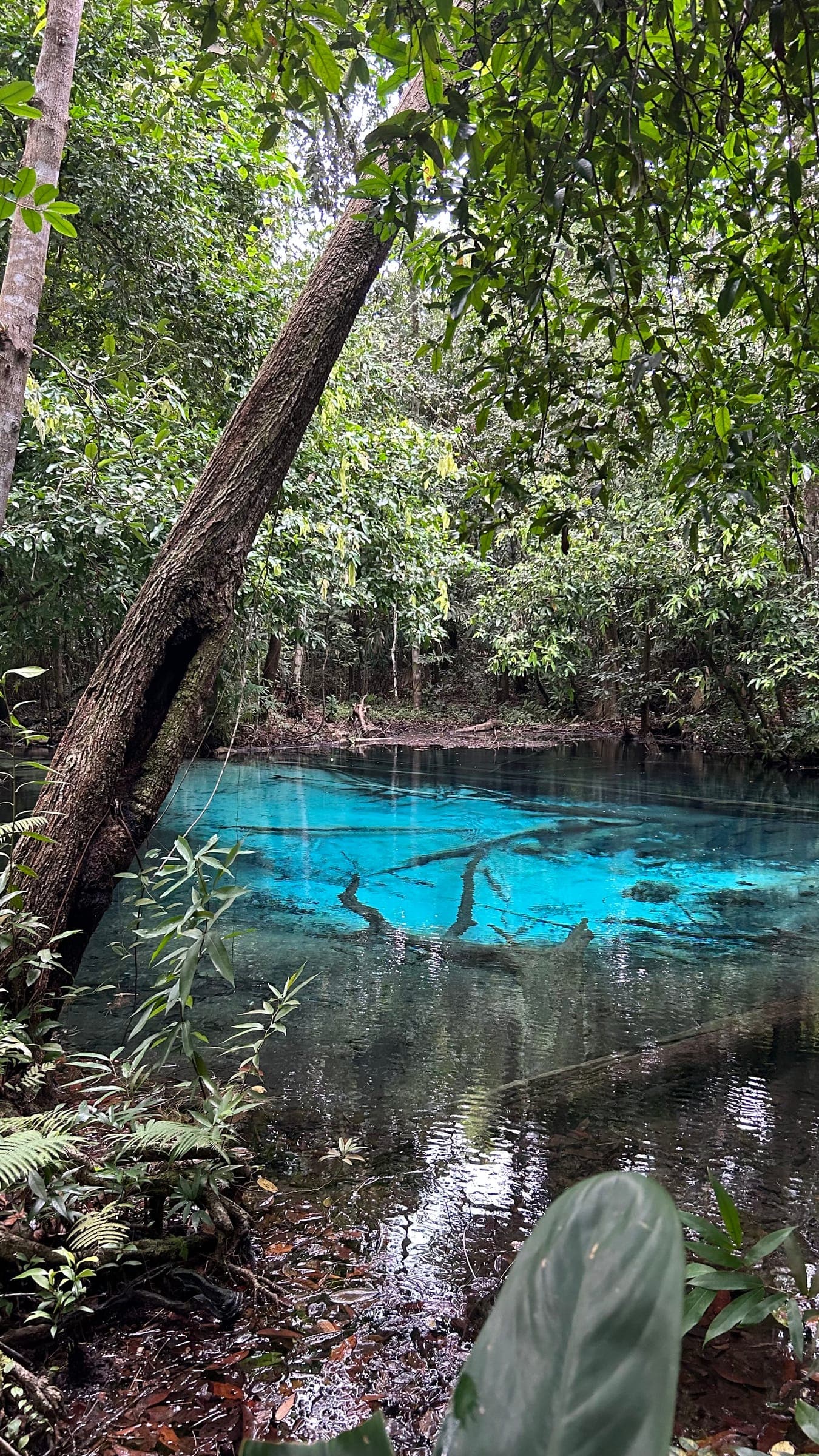 Blue lagoon hidden in the jungle